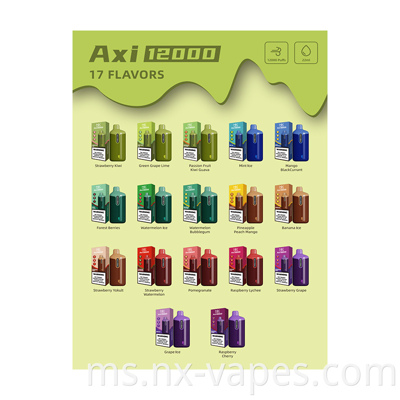 Maskking AXI 12000 (3)